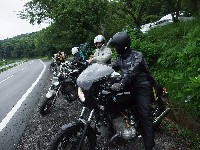 ���[���Ƃ���ƂȂ��ڔz������makiryu���B���Ƃ�����Ȃ��̂��`�����Ă����̂ł��傤���i��